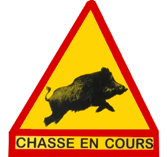 chasse en cours