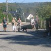 2011-16-retour-09