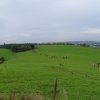 2013-10-06-08-entree-11