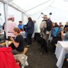 2013-10-06-09-entree-7-nains-09