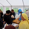 2013-10-06-09-entree-7-nains-76