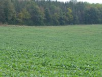 2024-06-vers-entree-003