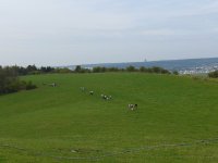 2024-06-vers-entree-010